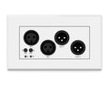 Placa de Pared Dante Blustream DA22XLR-WP-EU-V2 con 2 Entradas y 2 Salidas XLR y Phantom (formato UK/EU) - foto 1